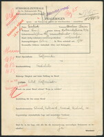 Applicant: Feintuch, Abraham Chaim; born 20.1.1880 in Perehinsko (Ukraine); married.