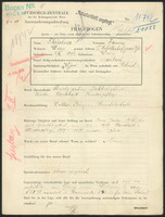 Applicant: Fleischner, Fanny; born 2.11.1892 in Vienna (Austria); widowed.