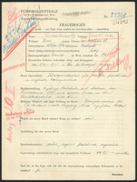 Applicant: Friedlanszky, Edith Ester; born 10.2.1916 in Budapest (Hungary); single.