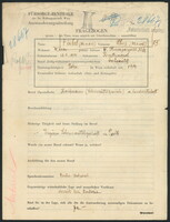 Applicant: Finkel, Abisz (Abisch); born 13.9.1894 in Krystynopol (Ukraine); married.