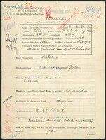 Applicant: Friedmann, Noachim David; born 6.7.1884 in Vienna (Austria); married.