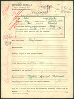 Applicant: Gabei, Isak; born 1866 in Istanbul (Turkey); single.