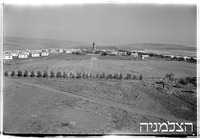 מולדת, 4/1950.