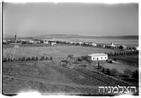 מולדת, 4/1950.