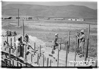 רשפים.