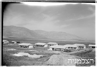 שלוחות.