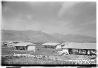 שלוחות.
