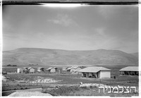 שלוחות.