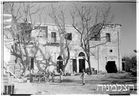 בן-עמי (רפורטג'ה).