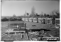 בן-עמי (רפורטג'ה).