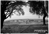 גשר הזיו.