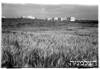 קיבוץ סעד.