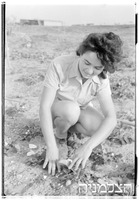 בצרה (רסקו).