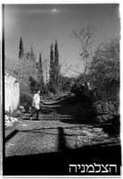 בן-עמי (רפורטג'ה).
