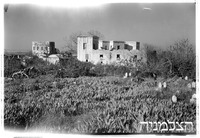 בן-עמי (רפורטג'ה).