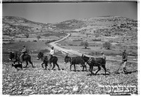 חוסן (סוחמטה).