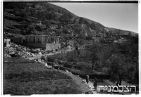 פקיעין.