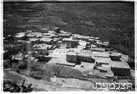פקיעין.