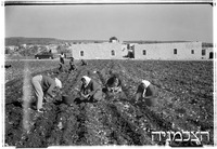 יראון (צאלחה).
