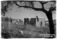 יראון (צאלחה).