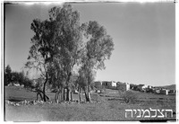 יראון (צאלחה).
