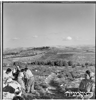 נטיעת יער לכבוד הצבא האדום, 1950.