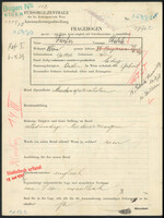 Applicant: Fischer, Adele; born 1.2.1896 in Vienna (Austria); single.