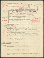 Applicant: Finkel, Salomon; born 14.12.1894 in Czabarowka (Ukraine); married.