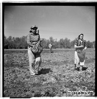שאר ישוב (חרמון), 1950.