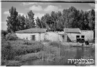 אפוטרופוס, ביצות הירקון.