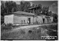 אפוטרופוס, ביצות הירקון.