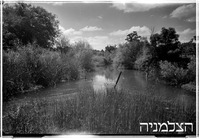 אפוטרופוס, ביצות הירקון.