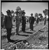 נווה אילן, קק"ל, 3/1951 (ליד אבו גוש), נטיעת יער.