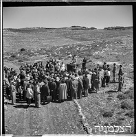 נווה אילן, קק"ל, 3/1951 (ליד אבו גוש), נטיעת יער.