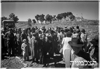נווה אילן, קק"ל, 3/1951 (ליד אבו גוש), נטיעת יער.