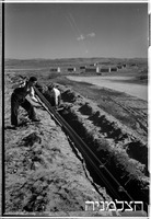 כפר ינוב (ליד כפר יונה).