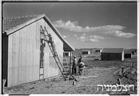 כפר ינוב (ליד כפר יונה).