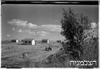 כפר ינוב (ליד כפר יונה).