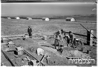 כפר ינוב (ליד כפר יונה).