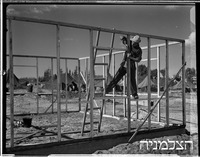 כפר ינוב (ליד כפר יונה).