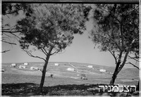 בת שלמה.