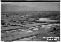 בעין רדיאן.