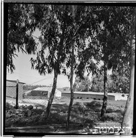 שער חפר, 2/1952.