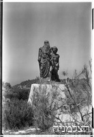 קיבוץ בית אורן (כרמל).