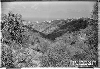 קיבוץ בית אורן (כרמל).
