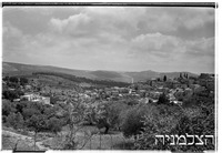 אבו גוש.