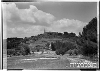אבו גוש.
