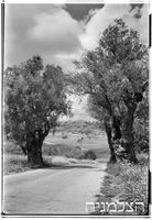 מעליה.