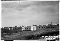 פוריה.