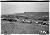 פוריה.